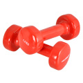 Dumbbell de encargo del vinilo del logotipo de Crossfit para la venta